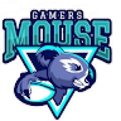 Mouse A Gamers